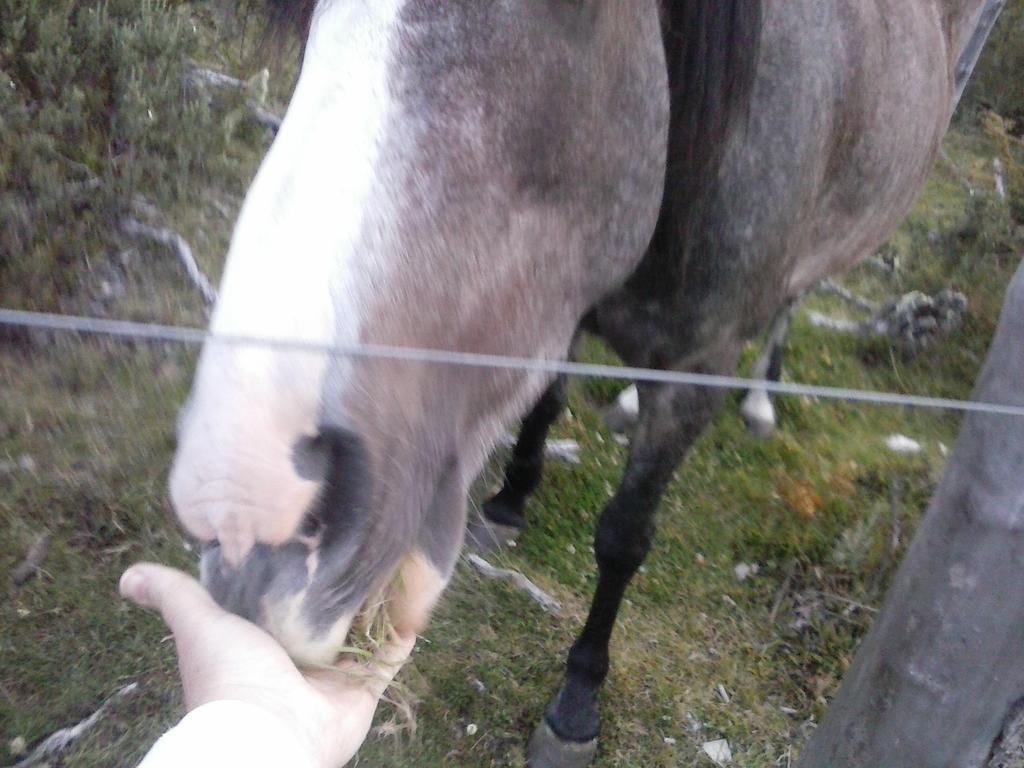 Altos De Tolhuin Leilighet Rom bilde